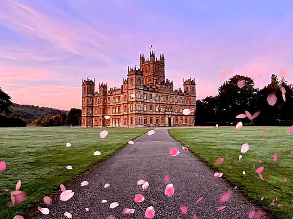 Valentine's Castle Tours & Afternoon Tea. 13/14/15 February 2026. Tickets now on sale.