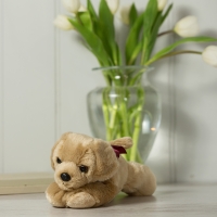 Finse Toy Dog