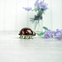 Ladybird