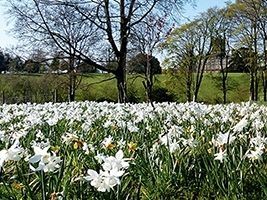 Springtime Castle Guided Tours. March 2026